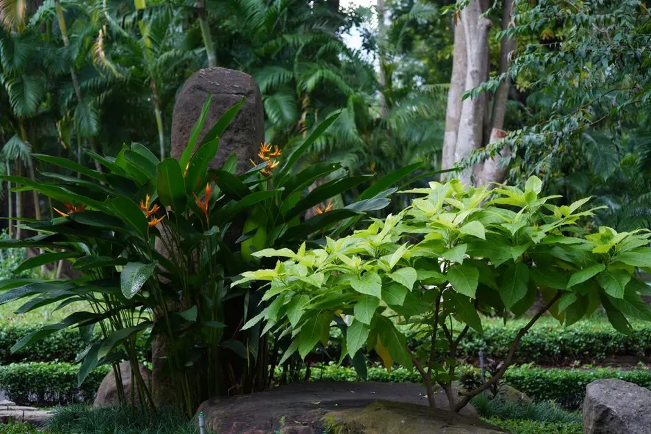 Greens & Outdoors at SMARTWORLD GEMS, Sector 89, Gurgaon