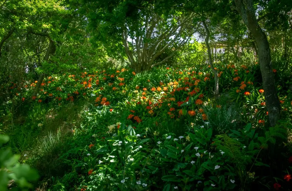 Greens & Outdoors at SMARTWORLD JACOB & CO RESIDENCES, Sector 98, Noida