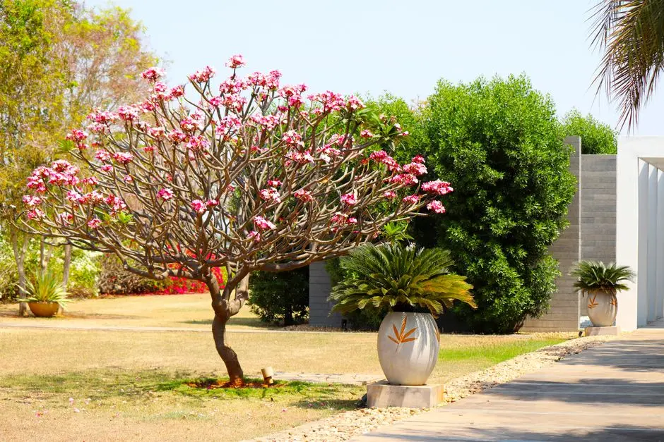 Greens & Outdoors at SMARTWORLD HYDERABAD, Hyderabad