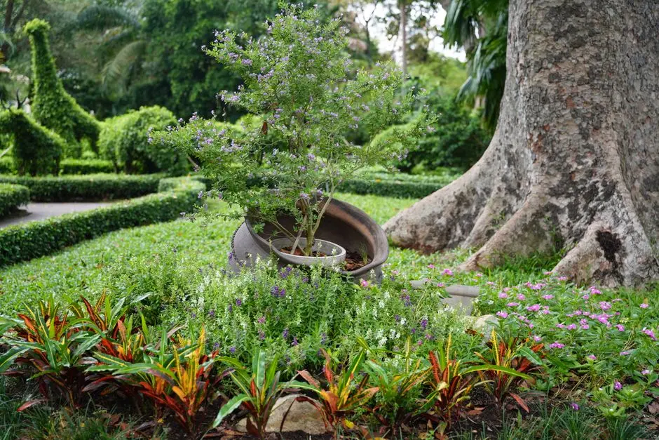 Greens & Outdoors at SMARTWORLD TRUMP TOWER (SECTOR 111 COMMERCIAL), Gurgaon