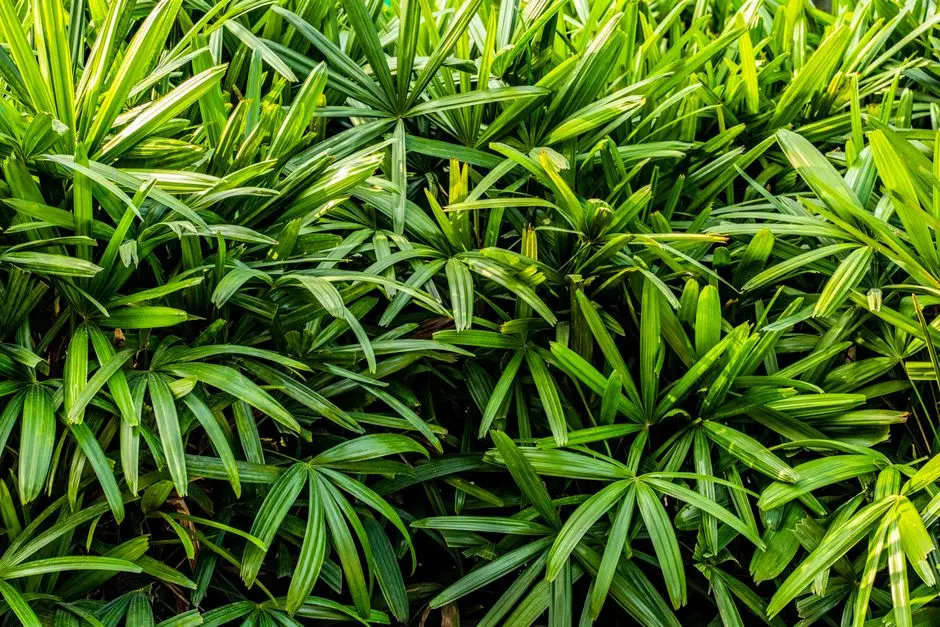 Greens & Outdoors at SMARTWORLD TRIUMPH, Sector 66, Gurgaon