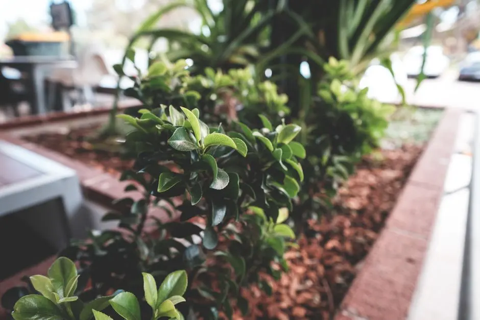 Greens & Outdoors at SMARTWORLD SECTOR 94 NOIDA, Noida