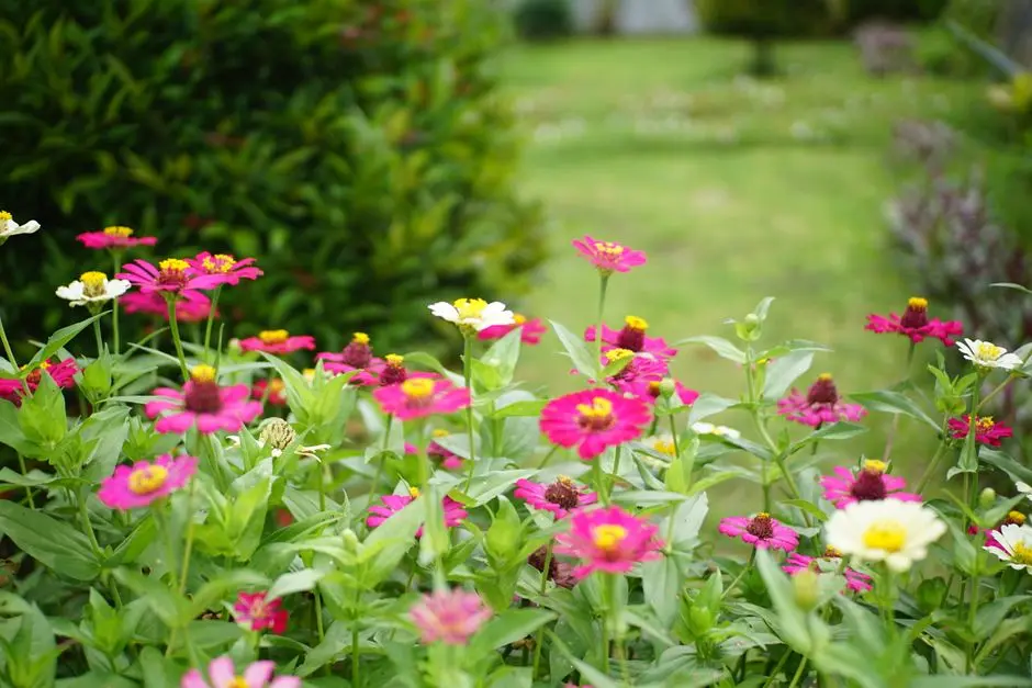 Greens & Outdoors at SMARTWORLD TRUMP RESIDENCES GURGAON, Sector 69, Gurgaon