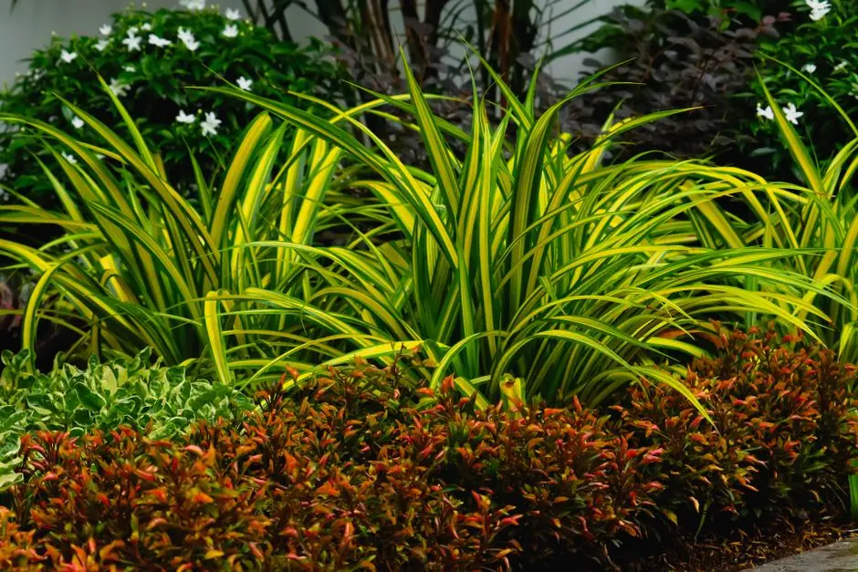 Greens & Outdoors at SMARTWORLD RESIDENCES BY ELIE SAAB, Sector 98, Noida